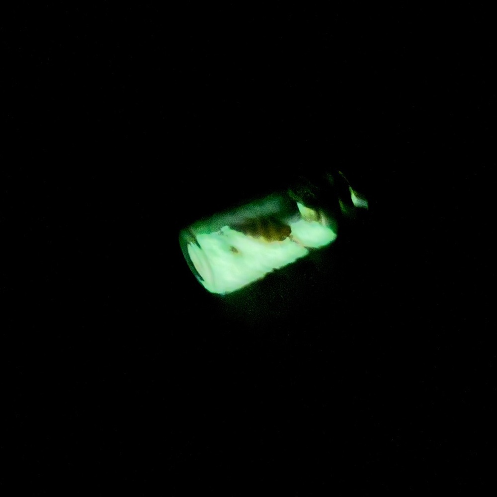 UNBRANDED Blue Fluorescent Sand DRIFT Bottle SEASHELL Necklace #1 - Picture 4 of 9